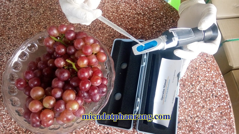 ĐO ĐỘ ĐƯỜNG GLUCOSE CỦA NHO